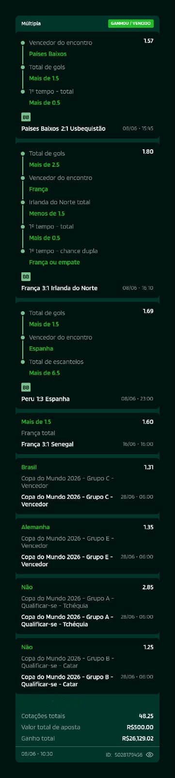 Bilhete premiado — Múltipla da fase de grupos, retorno de R$ 26.129,02